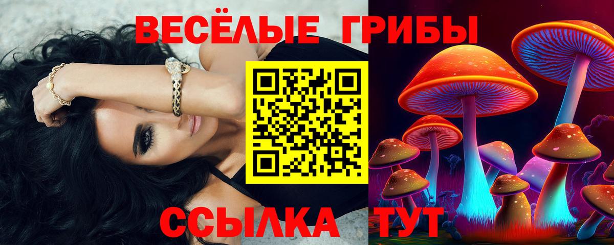 Галлюциногенные грибы GOLDEN TEACHER Красноярск